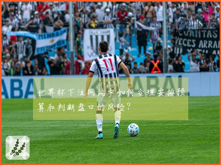 世界杯下注网站中如何合理安排预算和判断盘口的风险？
