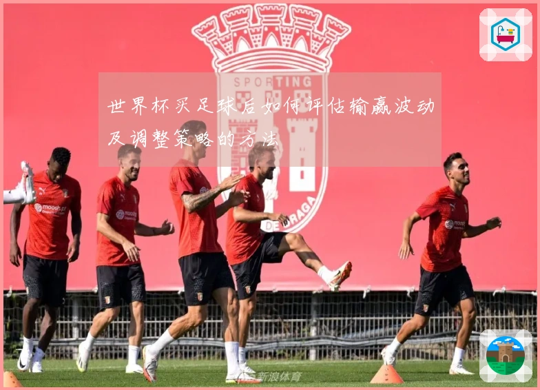 世界杯买足球后如何评估输赢波动及调整策略的方法