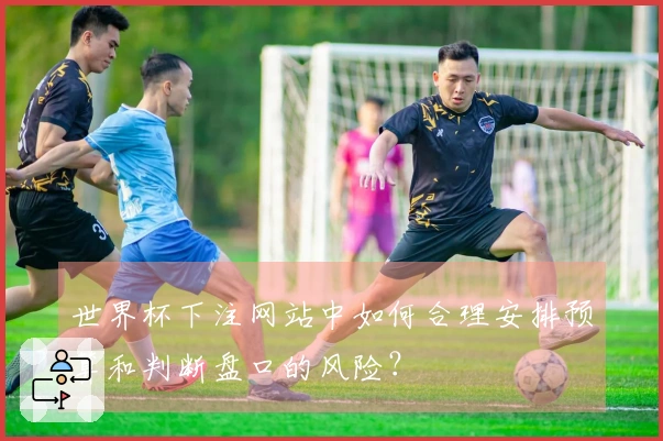世界杯下注网站中如何合理安排预算和判断盘口的风险？
