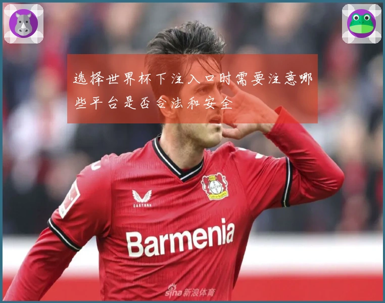 选择世界杯下注入口时需要注意哪些平台是否合法和安全